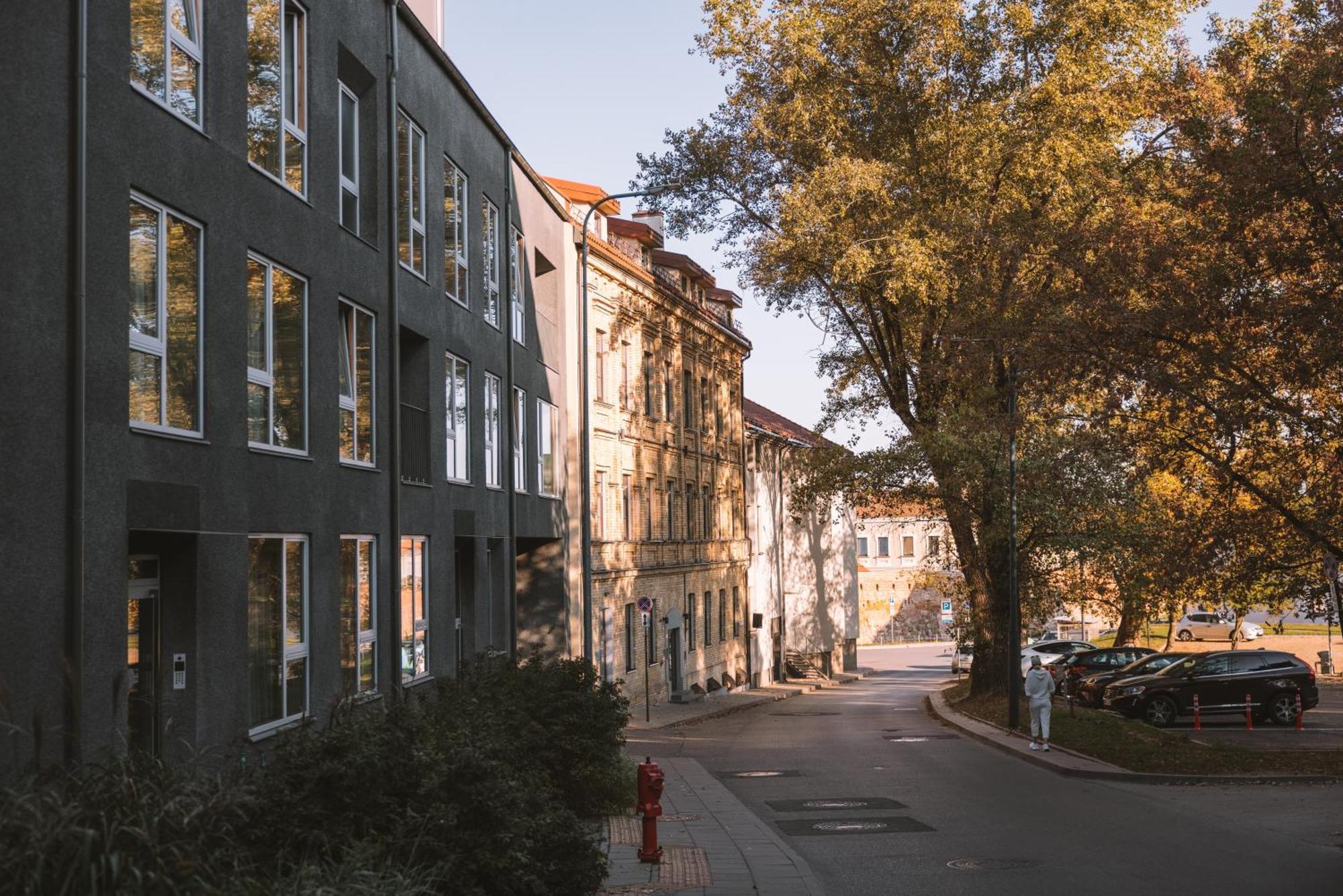 Ivis House Modern Apartment In Vilnius Old Town With Balcony Вильнюс Экстерьер фото